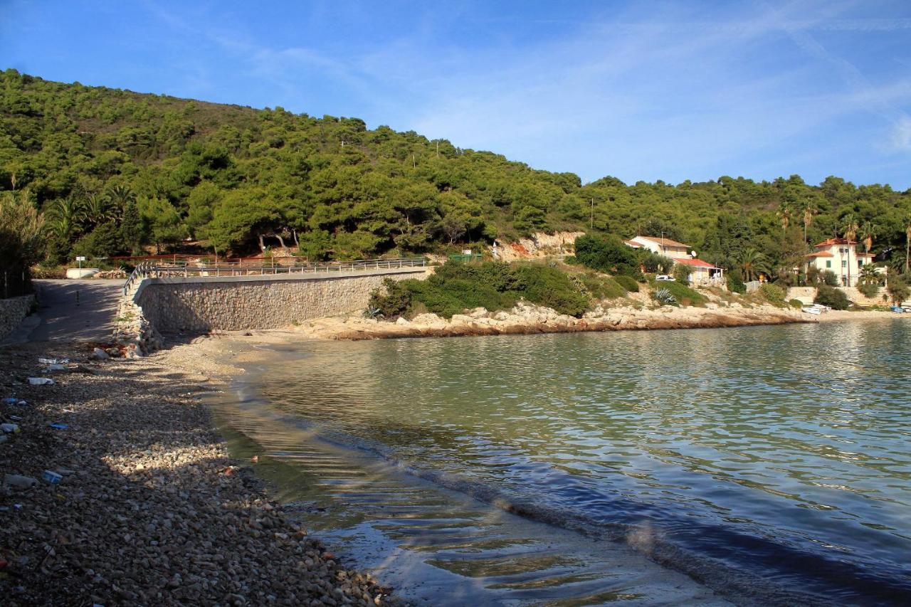 Apartments By The Sea Milna, Vis - 8895 Rukavac  Kültér fotó